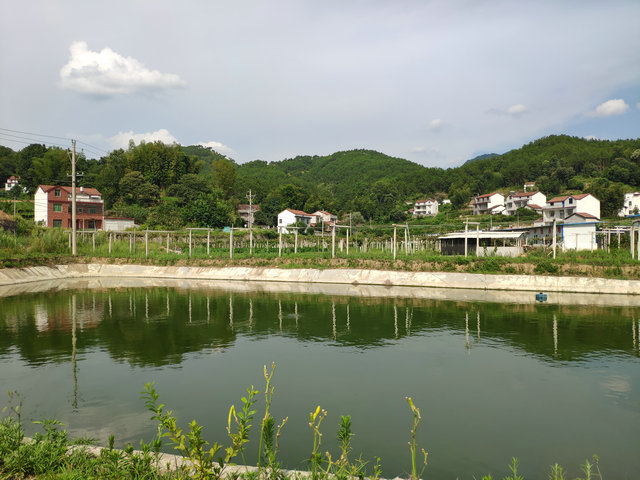 养鱼池