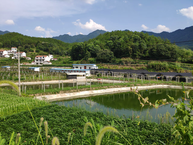 基地全景