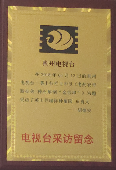 电视台采访留念