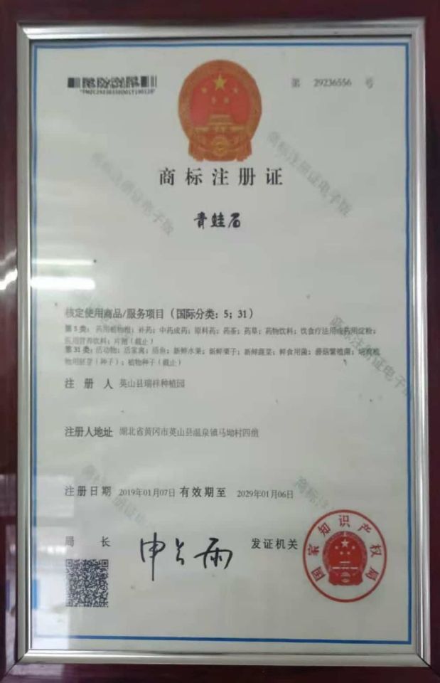 商标 青蛙石