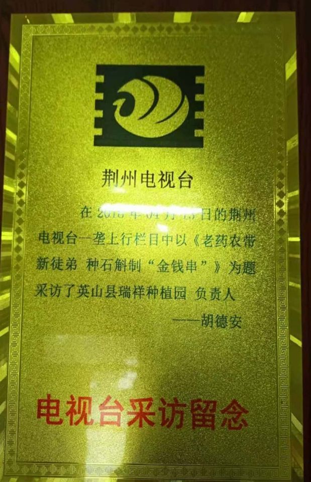 荆州电视台采访